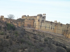 Jaipur (131)
